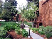 pathway